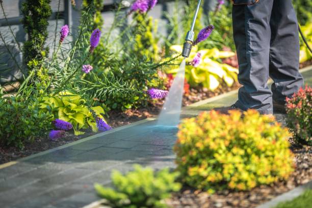 Trusted Bath, MI Pressure Washing Services Experts