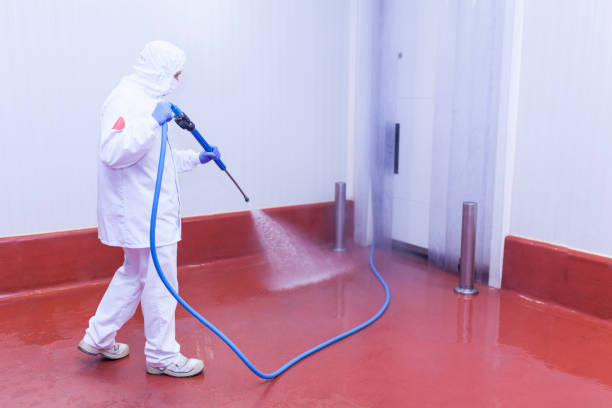 Best Patio and Deck Pressure Washing  in Bath, MI